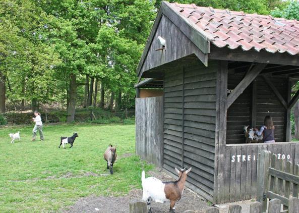 Land Gut Hotel Ritter Stadtlohn Εξωτερικό φωτογραφία